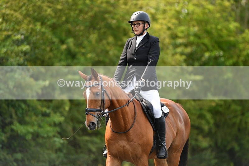 WJ5_9339 - Time 10:10 to 10:47