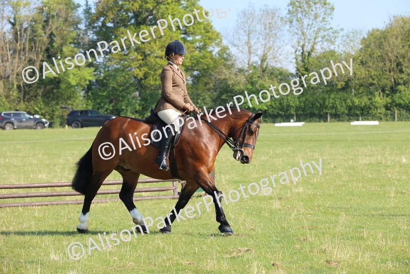20250427-0540 - Class 17 - Novice Showing