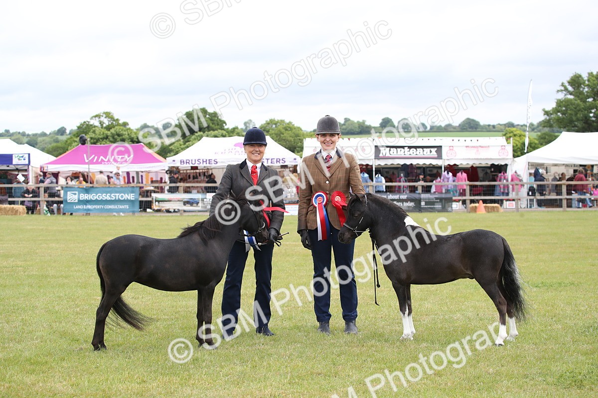 SBM_03577 - Class 23-25 - British Miniature Horse of the Year