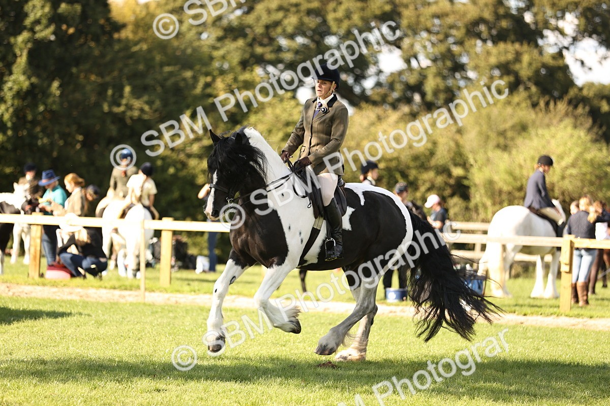 SBM_26428 - S6 - Novice & Newcomers Ridden Horse