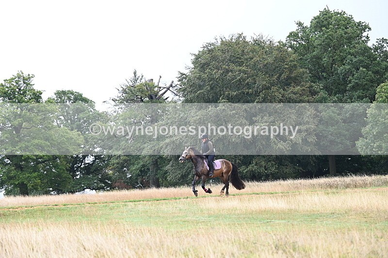 DSC_1885 - Time at Statue 12:13 to 12:32