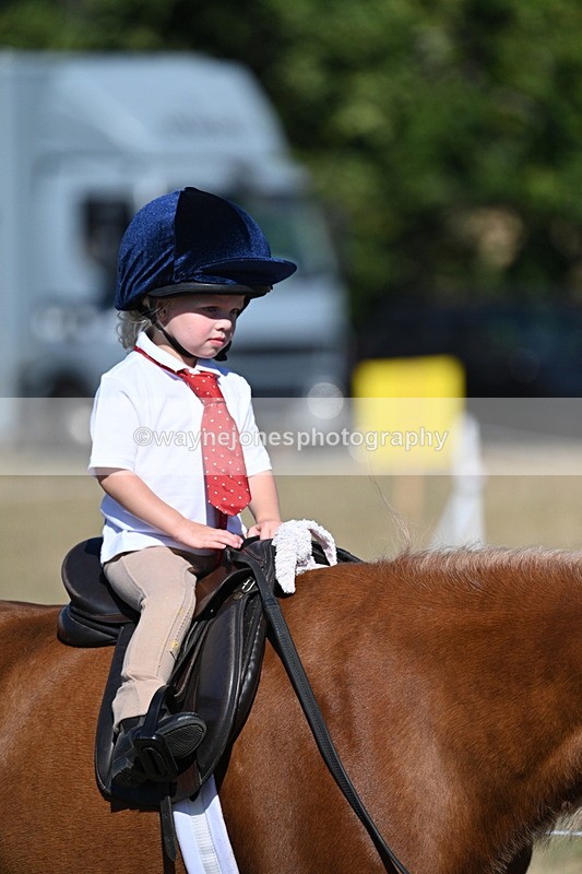 WJ7_2081 - Class 44 Child's Best Friend