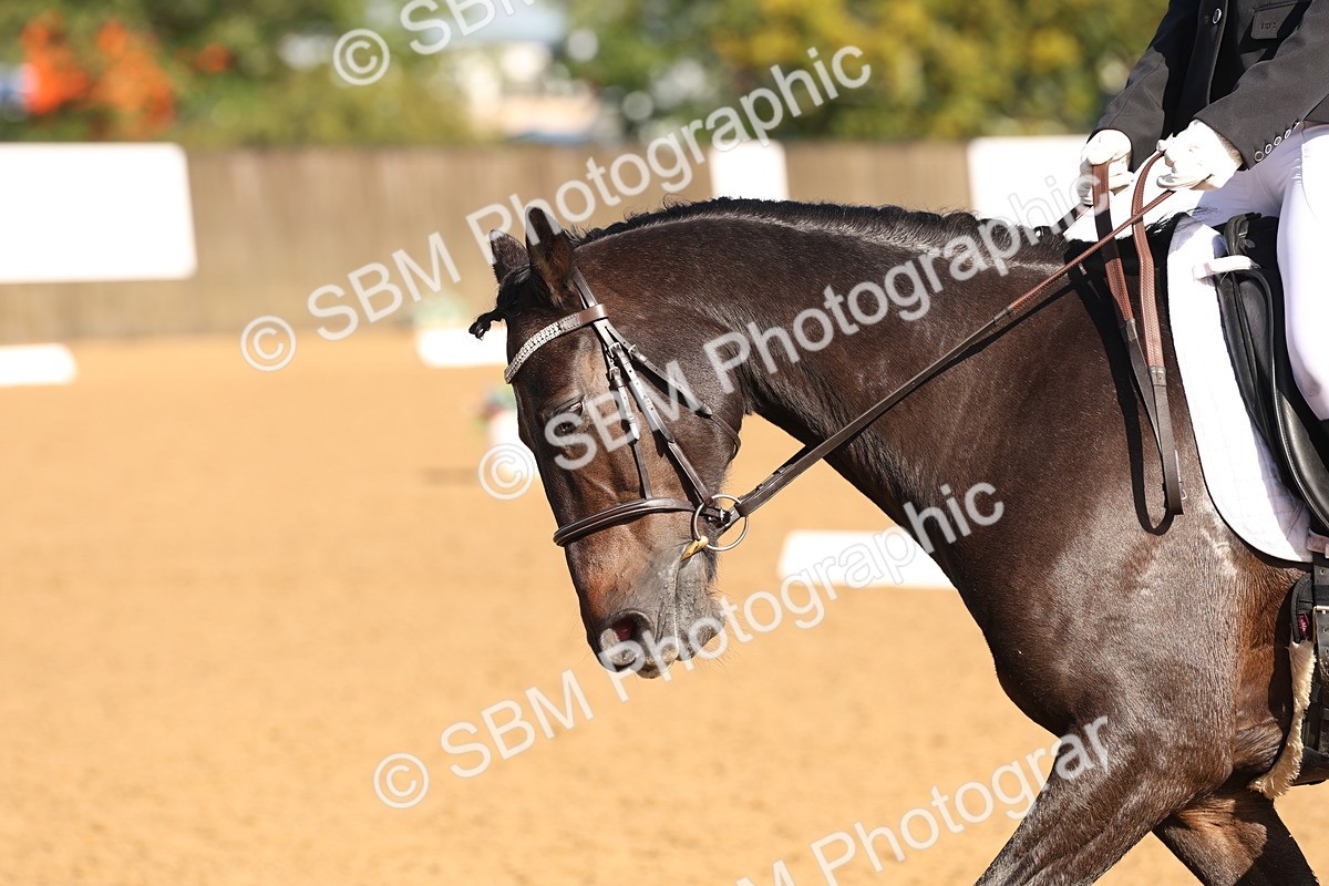 SBM_37565 - D18 - Grand Tour Championship Novice 2
