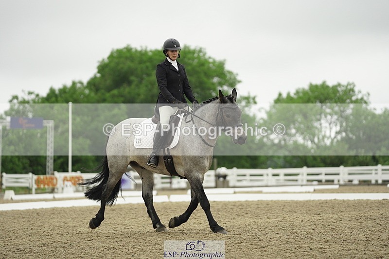 230708A-101024-00335 - Intro C