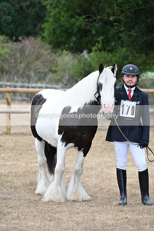 WJ7_9479 - Class 5 Most Handsome Gelding (up to 14.2hh)