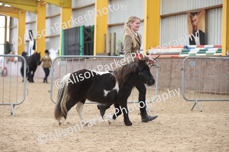 20251109-0445 - Championship