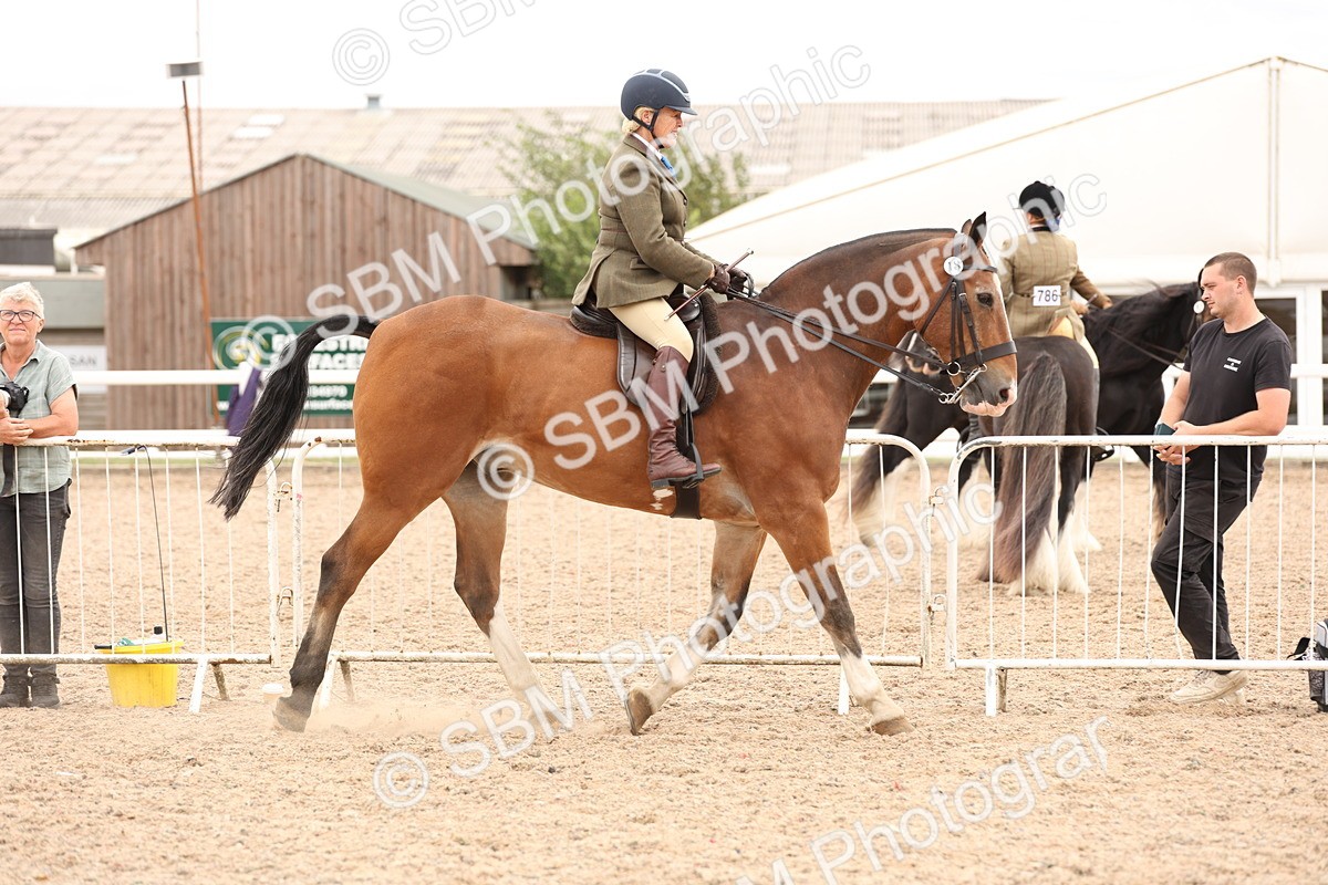 SBM_19506 - Class 215 - Ridden Show cob
