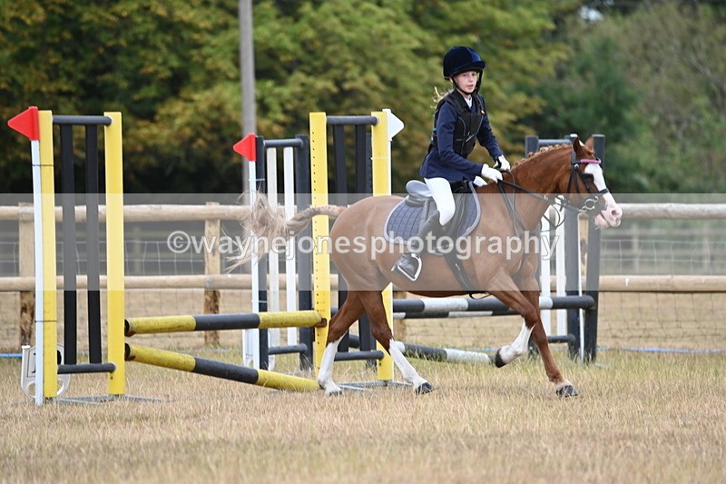 WJ6_0160 - Class 13 Novice Jumping 60cm