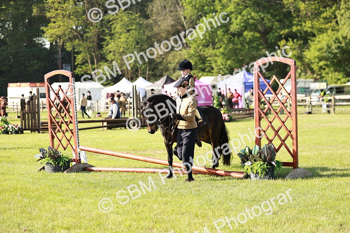 SBM_11157 - Class 106-107 - BSPS LIHS Working Sports Pony