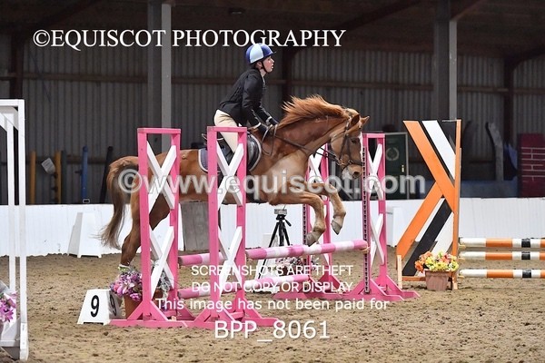 BPP_8061 - CLASS 1  Club/ Unaffiliated 60cms Open