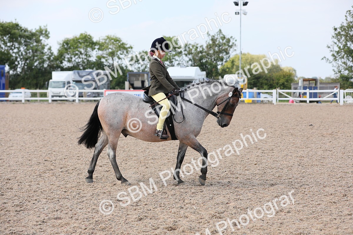 SBM_14670 - Class 310 First Ridden Pony