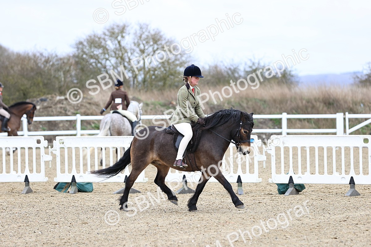 SBM_006858 - Class 29 - 30 - M&M Pure Novice Small-Large Breeds