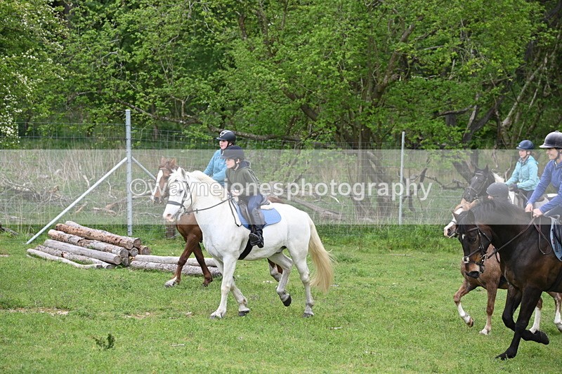 WJ6_3020 - A Camera