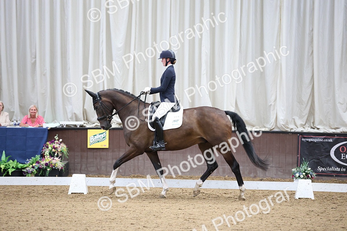 SBM_003374 - Class 5 - Novice 6 Gold - 13.05-14.00