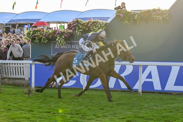 111025-Race 7-Lets Dream-9120 - Race 7 Coral 'Committed To Safer Gambling' Finale Handicap at York