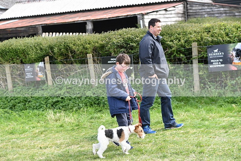 WJ5_0709 - Best in Show Championship