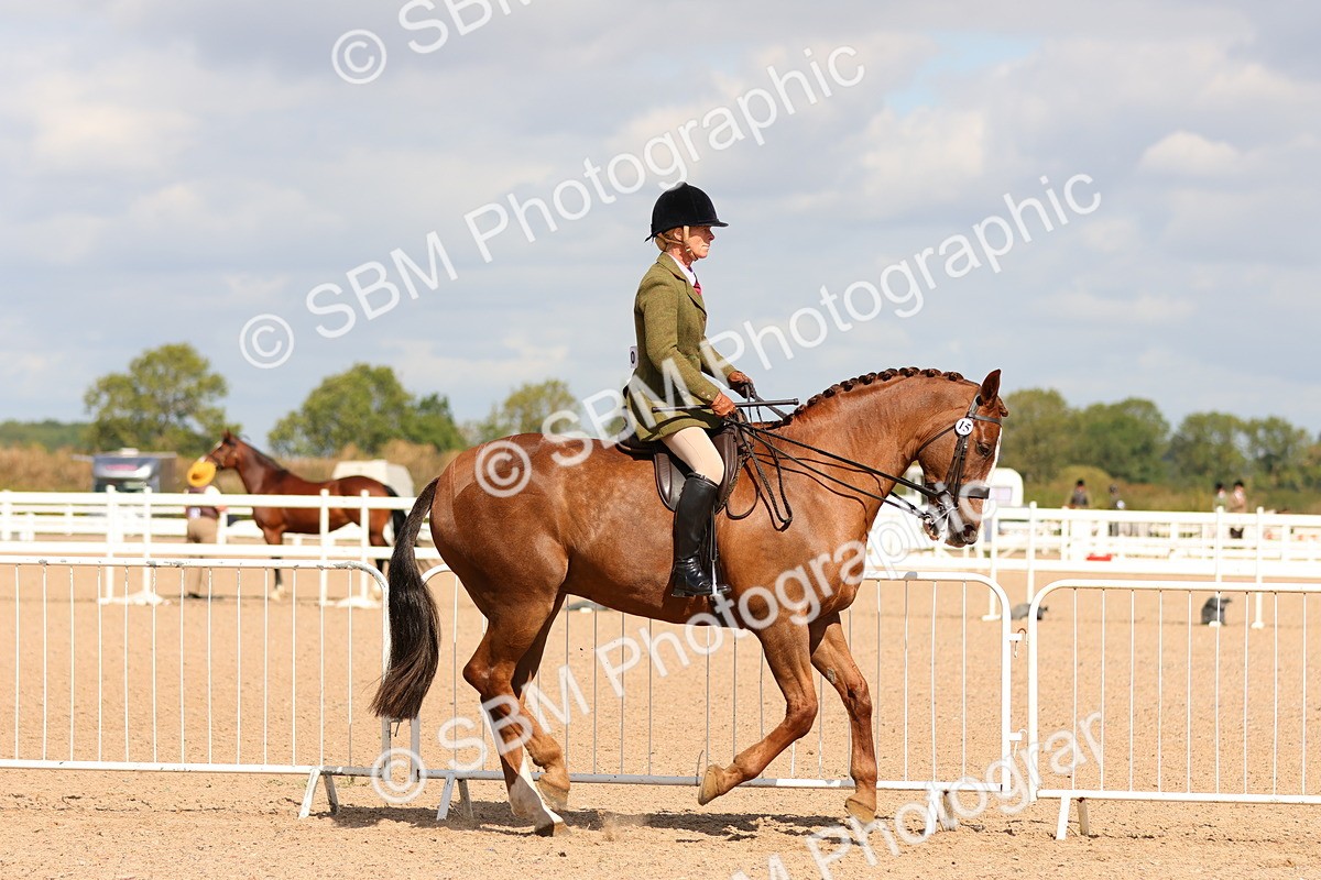 SBM_13193 - Class 211 - Ridden Hunter - Small