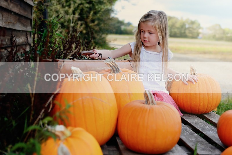DSC_8676-3 - SEASONAL OUTDOOR SHOOTS - PUMPKINS