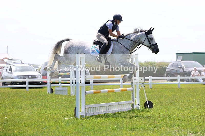 3E7A1331 - Class 12: Senior Foxhunter/1.20 open