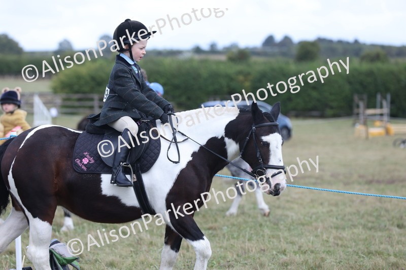 20250831-4202 - Class 20 - Ridden Coloured