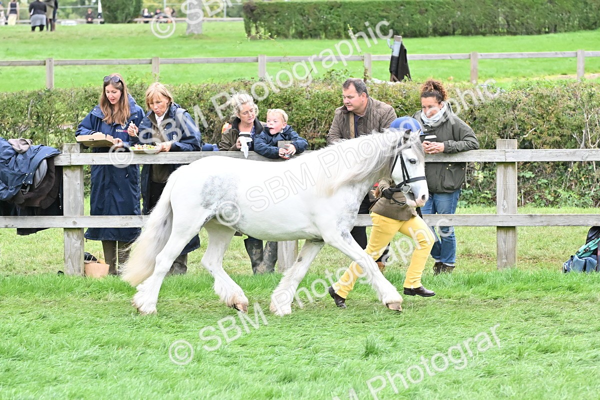 SBM_68562 - S42 - Junior Handler 9-12 Years