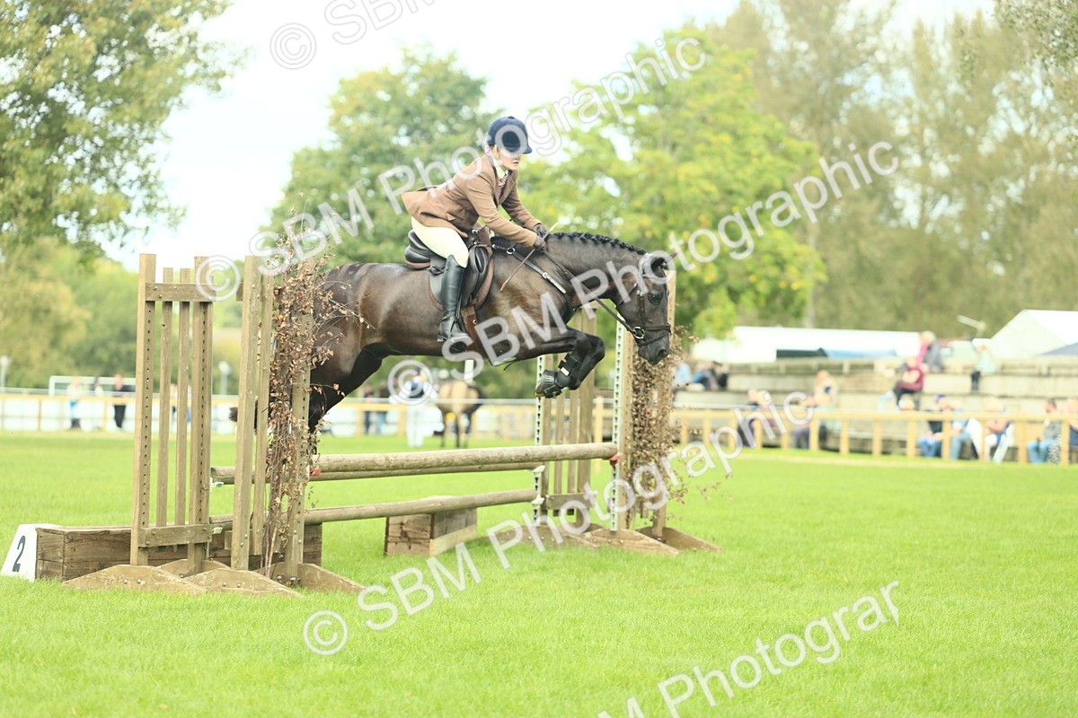 SBM_44762 - S31 - Working Hunter Pony