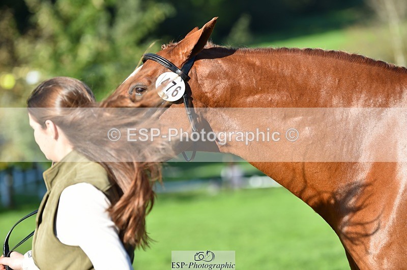 231022-103730-22627 - 476-MONARTS.MASTERCLASS-Laura.Bostock-TrotUp+SJ