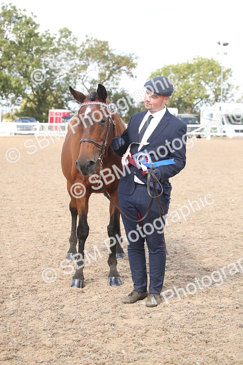 SBM_23481 - Class 604 - 2026 - Area IH Diamond