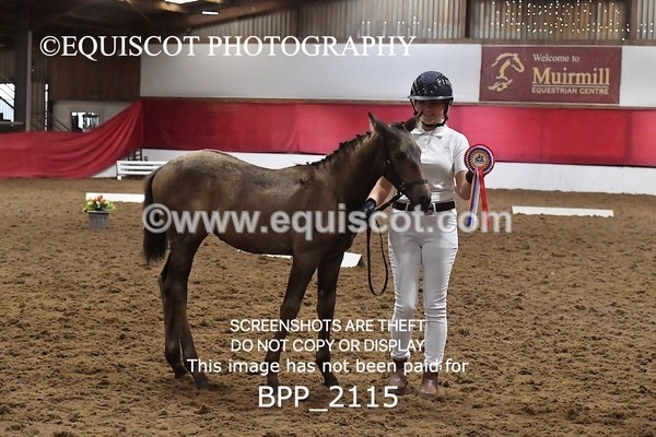 BPP_2115 - AFTERNOON 12.30 - 3.30PM