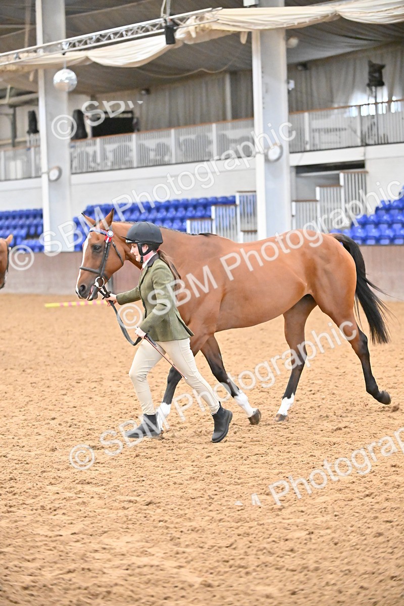SBM_000136 - Class 6 - BSHA In Hand Racehorse to Show Horse