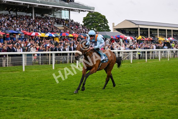 150624-Race 5-The Strikin Viking-7665 - Race 5 4.10pm Reg Griffin Appreciation ebfstallions.com Maiden Stakes