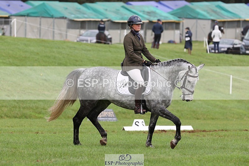 231019-152922-04890 - 553-HARLEQUIN.RABBIT-Althea.Bleekman-DR