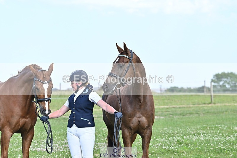 250620-175214-04867 - Verity