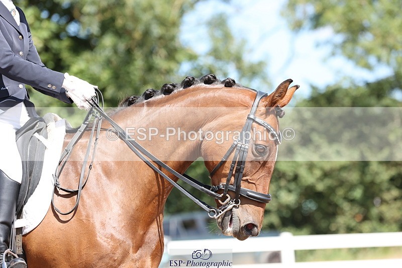 240816A-125332-04445 - 265-Abby.Bannell-Royal.Dalliance