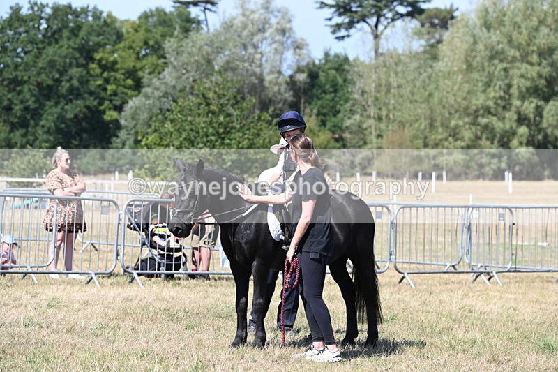 WJ6_8443 - Class 37a Best Loan Pony Ridden