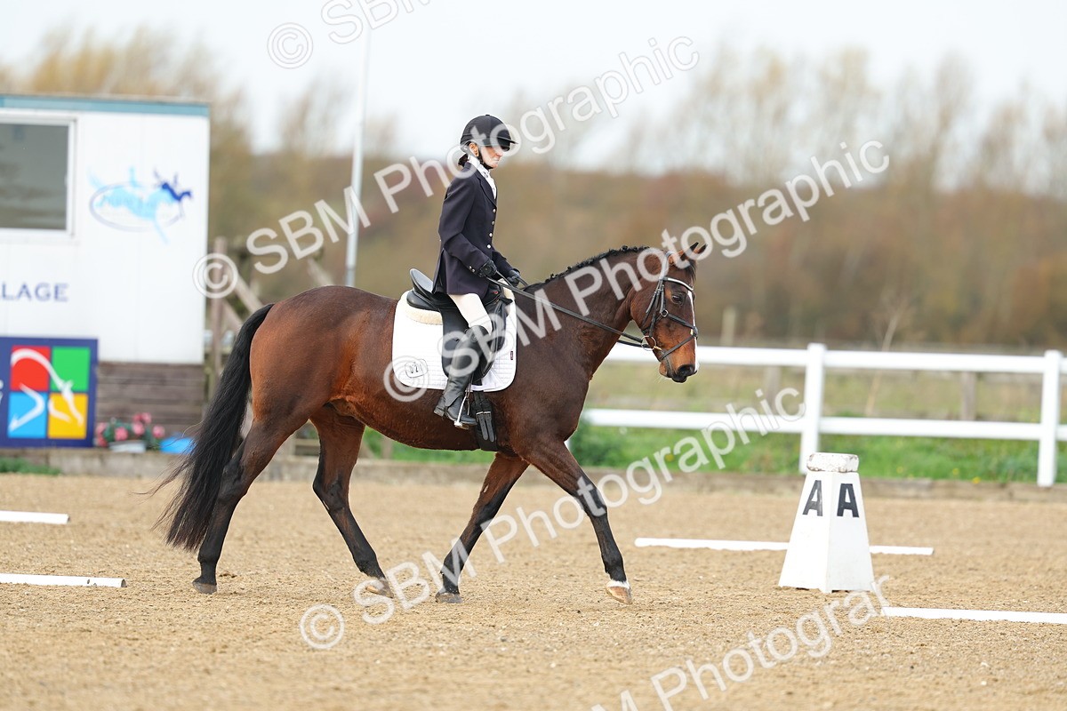 SBM_003522 - Class 6 - Novice 2