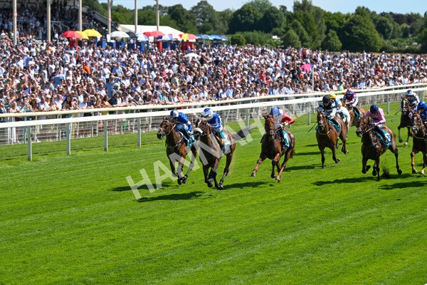 120725-Race 3-Fox Legacy-5671 - Race 3 3.10pm John Smith's Cup Handicap