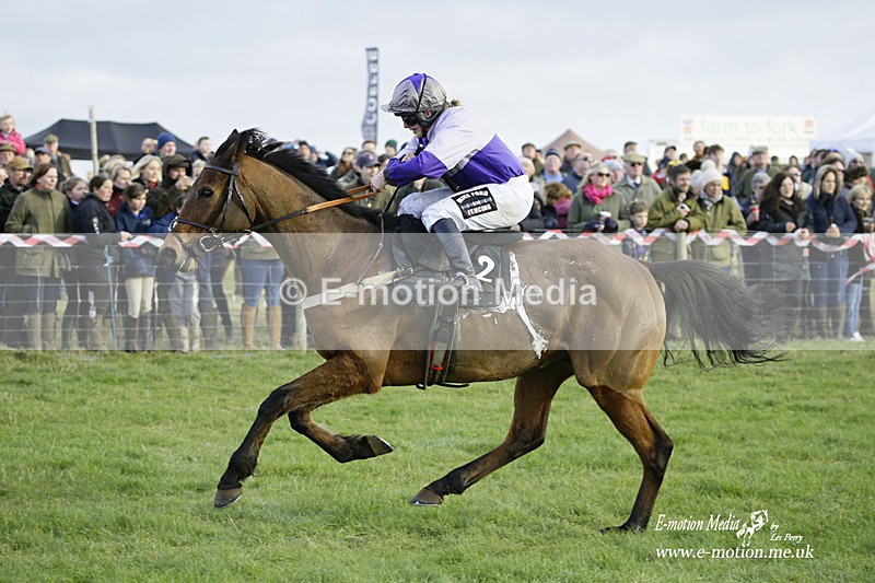 PtP 300122 539 - South Dorset Hunt - Point-to-Point Races 30/01/2022