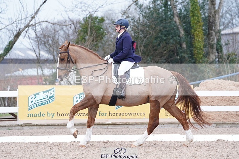 250214-102516-00130 - 224-Jill.McFarland-Adoon.Punchbowl