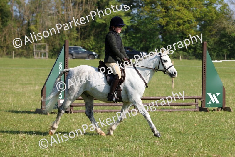 20250427-0567 - Class 17 - Novice Showing