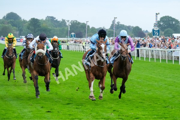 080925-Race 6-Rhapsody-9643 - Race 6 5.00pm Sky Bet Build A Bet Fillies' Handicap
