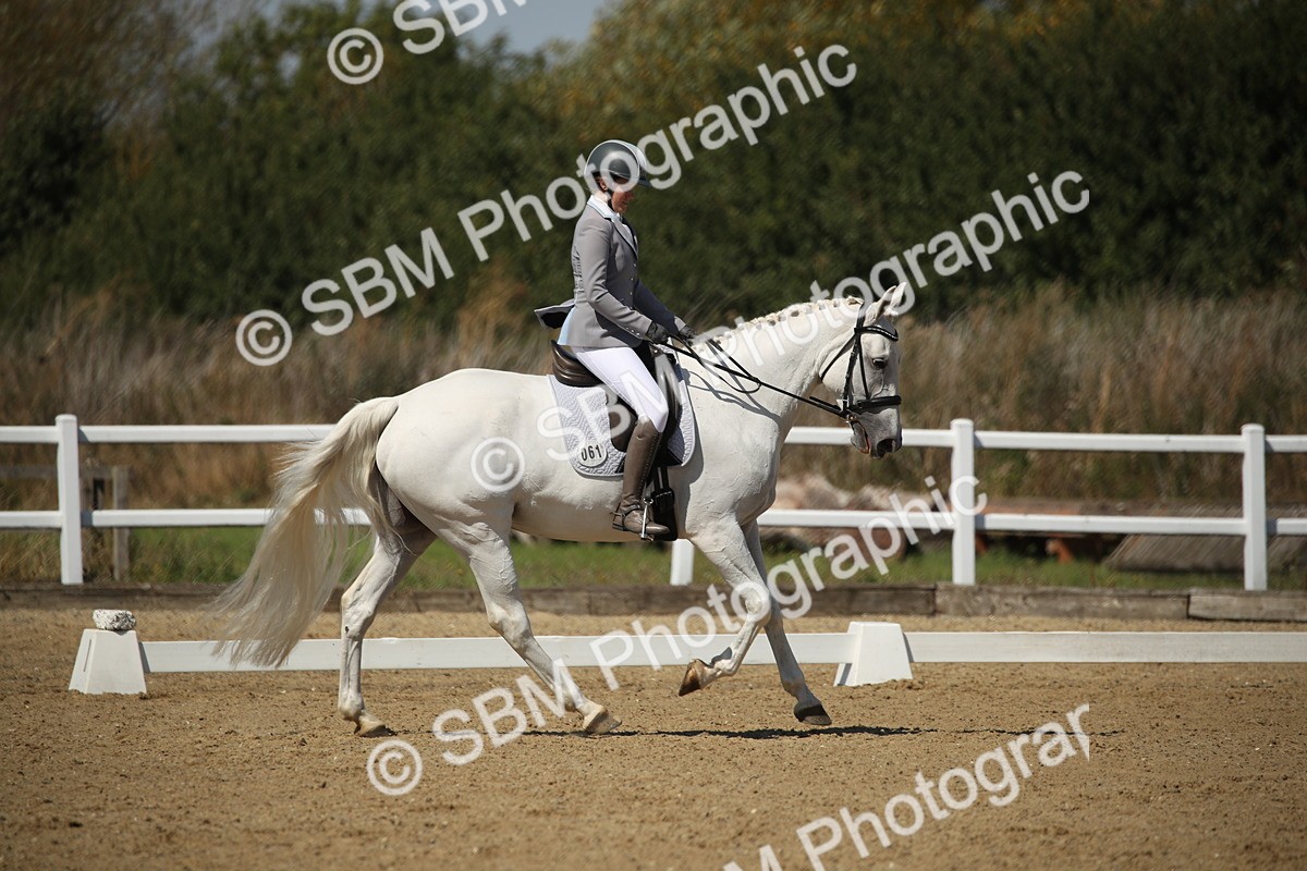 SBM_005054 - Class 11 - Novice 5 - 11.41-12.58