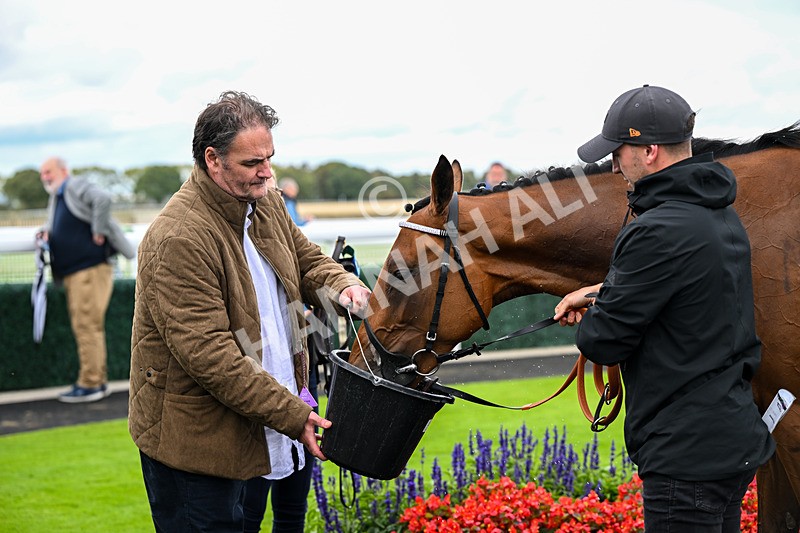 170925-Race 4-Dunkeld Dreamer-5102 - Race 4