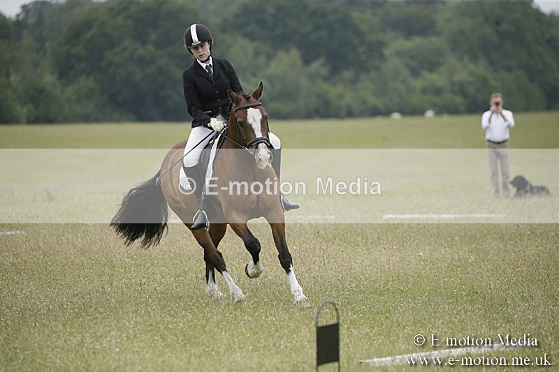 B230619-0672 - Bourne Valley Riding Club Summer Show 23/06/19