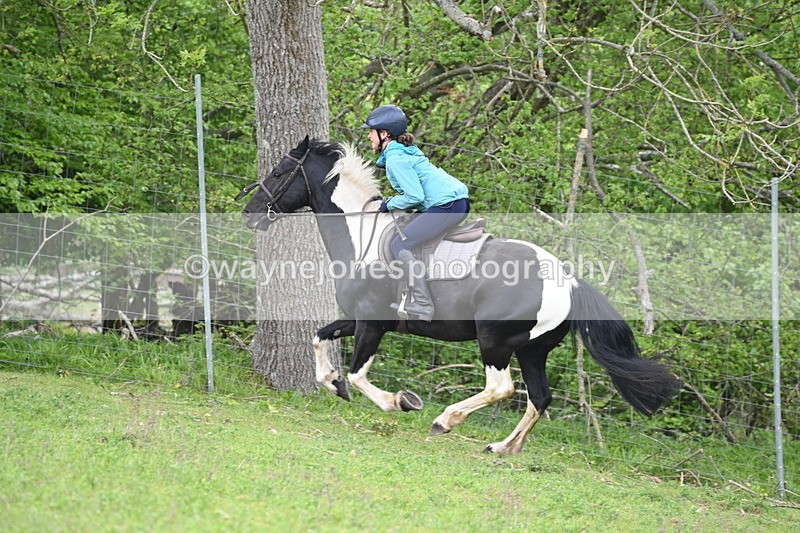 WJ6_3076 - A Camera