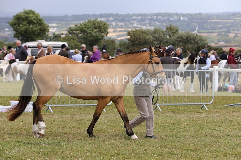 1X9A4914 - Class 35: Veteran In Hand