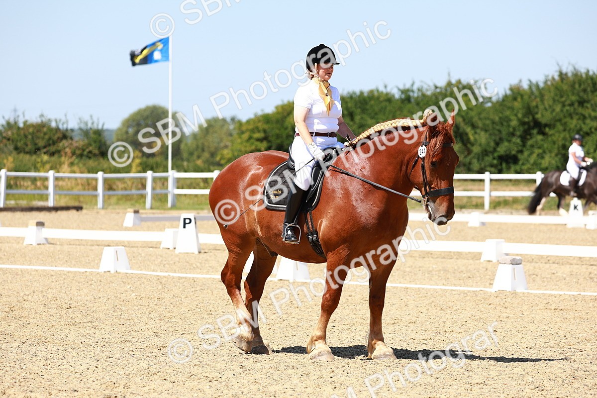 SBM_011817 - Intro 3 - 13.00-14.10