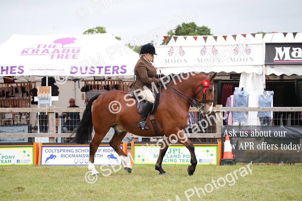 SBM_11325 - Class 92-93 - LIHS BSHA Rising Star Cobs