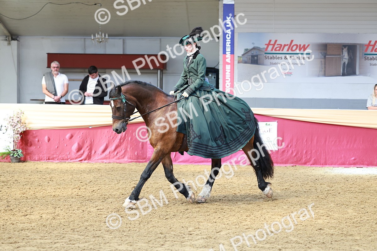 SBM_14820 - Class 107 - Ridden Costume - Astride Adult  (20+)