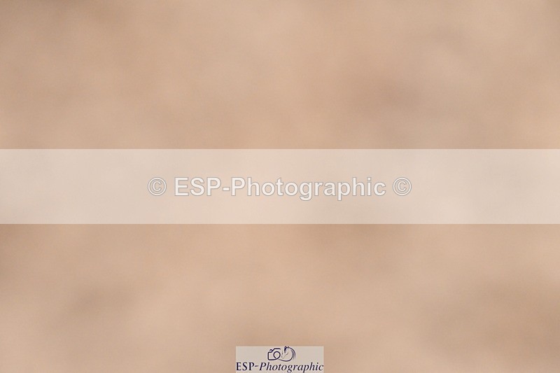 231217A-123150-01017 - Unaffiliated Classes